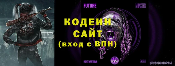 МДПВ Богородск