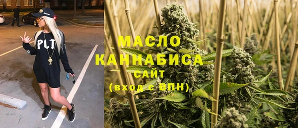 МДПВ Богородск