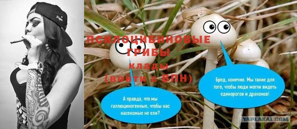 МДПВ Богородск