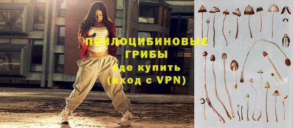 ПСИЛОЦИБИНОВЫЕ ГРИБЫ Бородино