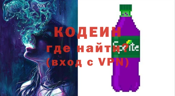 метадон Анива